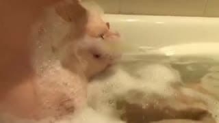 爆乳丰臀女神性爱私拍流出