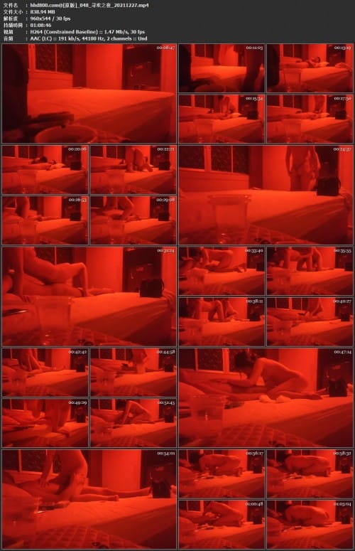 寻欢之夜_20211227