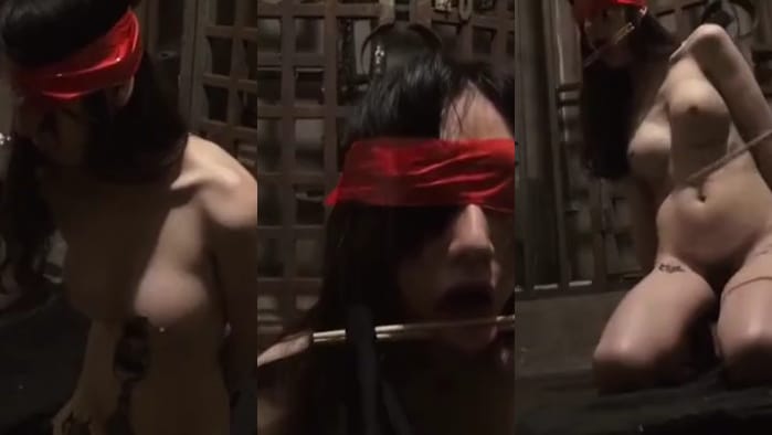 禅狱工作室SM调教系列~ 饲育性爱母狗西贡女247实录!