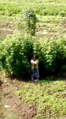 【两小无猜】本想路边上厕所，没想到一抬头菜地里看到这一幕 