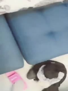 后入合集2，后续更新