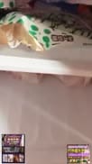 既丰满又漂亮美女才艺主播 一字马看粉穴 洗澡诱惑 奶子好大小穴也粉