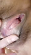甜美少妇约炮眼镜胖男