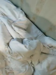 某主播直播群P嫖娼，刺激得很