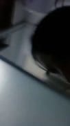 【国产馆】极品巨乳美女主播洗完澡再穿上连体情趣黑丝自摸秀很是诱惑