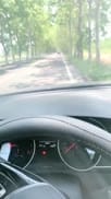 (Avove)穿着渔网袜大白天在公路旁车震最后口爆
