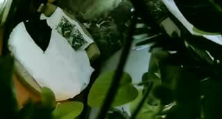 小妹妹不想和才刚认识的哥哥啪啪啪~被扑倒三次后没力只好让他操…