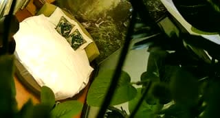 丰满性感的美女酒店不愿意和认识没多久的纹身男啪啪,被男的3次扑倒在床上最后强插进去干完后再操时乖乖配合!