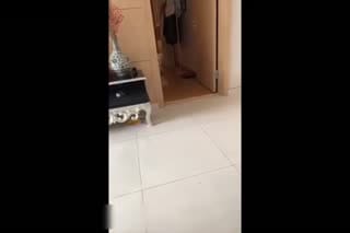 大量淫妻性愛視頻合集