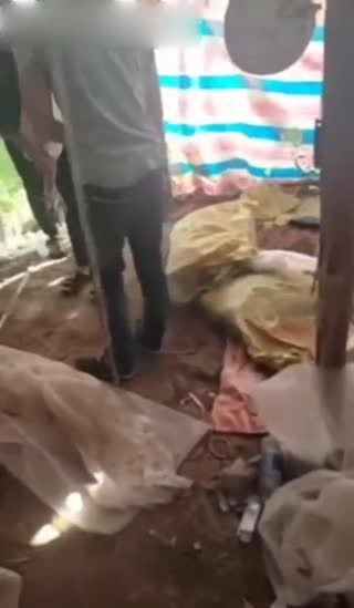 一年轻嫩妹和2男下车方便时看见有间简陋棚,寻求刺激在里面把美女轮