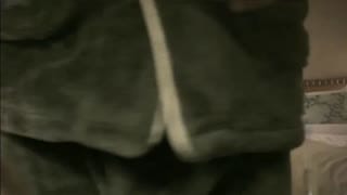 【情感主播李寻欢呀】短发外围女神，门票138，4500来一炮，娇俏魅惑极品尤物，插入鲍鱼干高潮